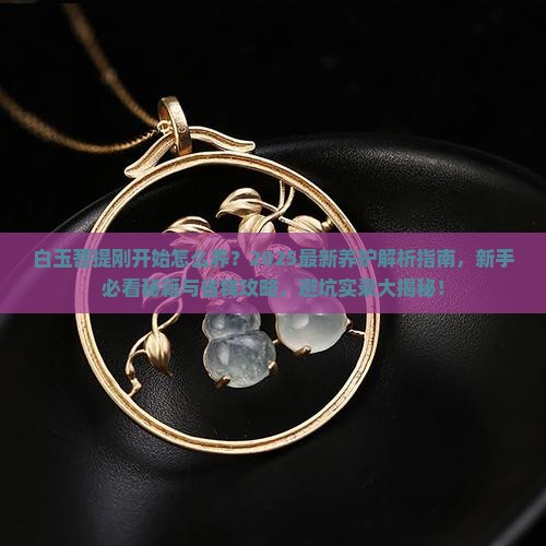 白玉菩提刚开始怎么养