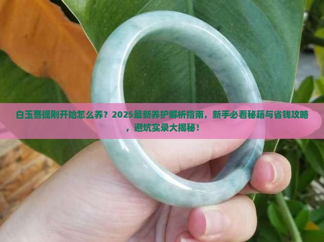 白玉菩提刚开始怎么养