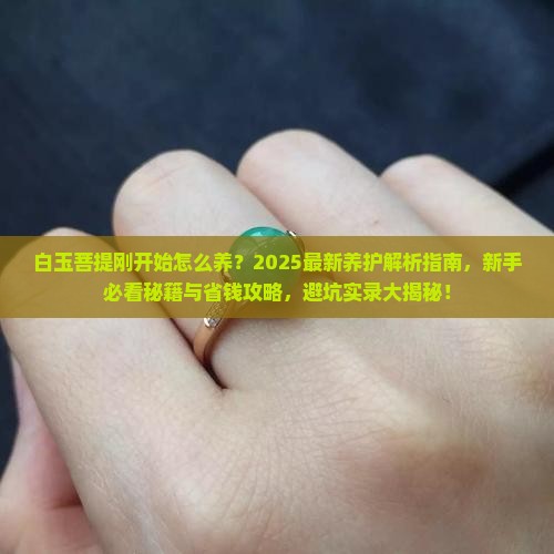 白玉菩提刚开始怎么养