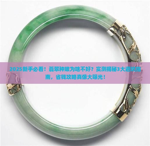 翡翠种嫩为啥不好呢
