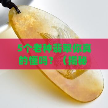 翡翠什么叫种水老种