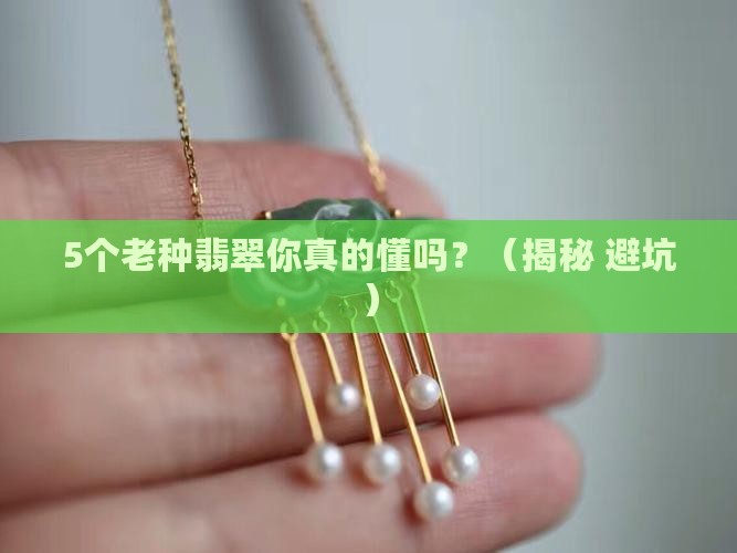 翡翠什么叫种水老种