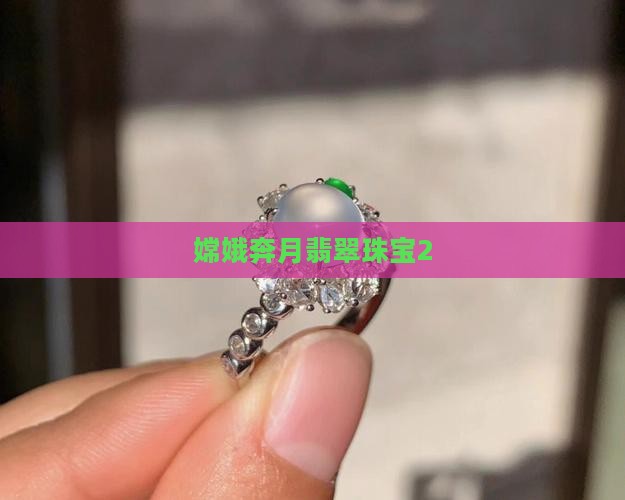 奔月翡翠珠宝2