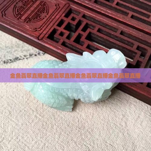 金鱼翡翠直播