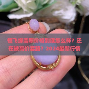 恒飞缘翡翠价格