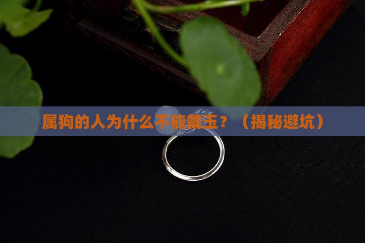 属狗的为什么身上不能戴玉
