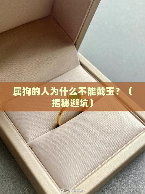 属狗的为什么身上不能戴玉