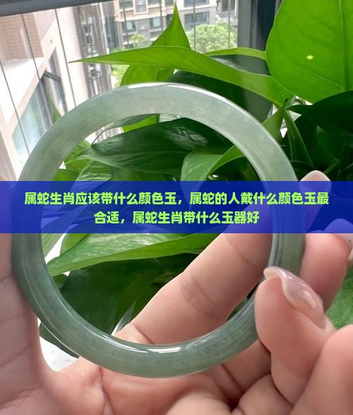 属蛇生肖应该带什么颜色玉