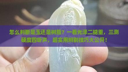 怎么判断是玉还是树脂