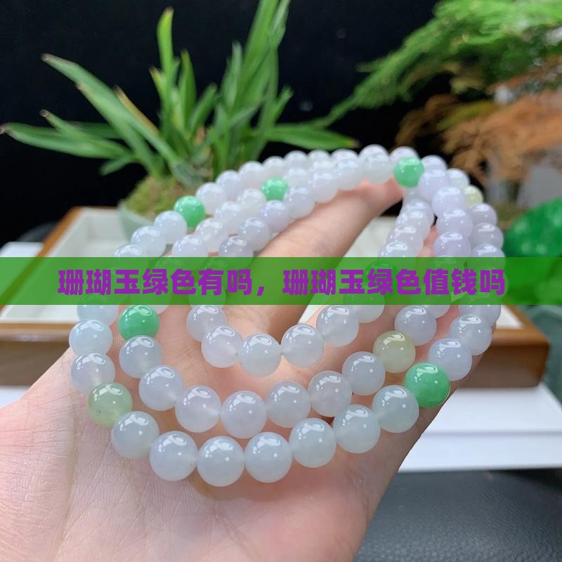 珊瑚玉绿色有吗