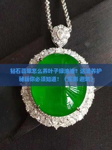 钻石翡翠怎么养叶子绿油油