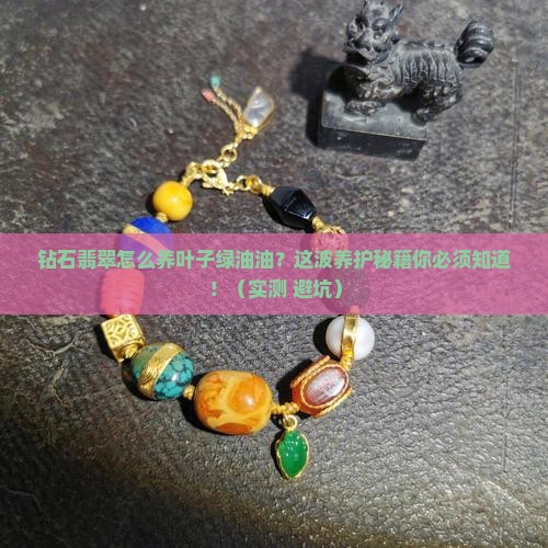 钻石翡翠怎么养叶子绿油油