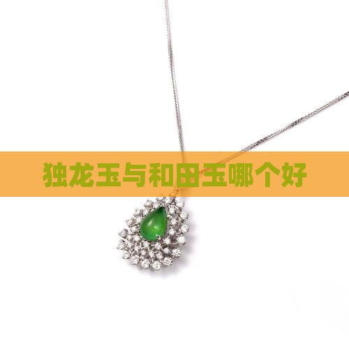 独龙玉与和田玉哪个好
