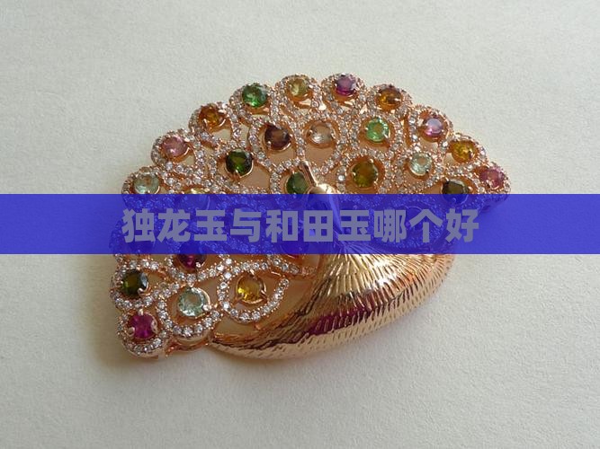 独龙玉与和田玉哪个好