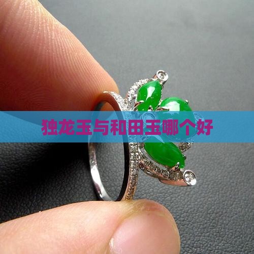 独龙玉与和田玉哪个好