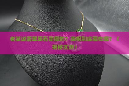 老某说翡翠原石是假的