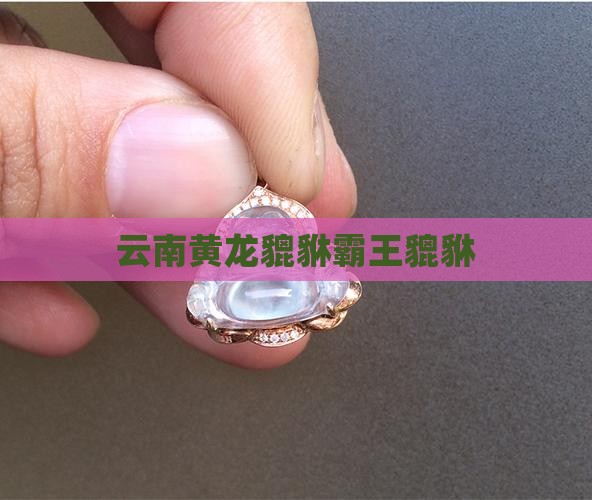 云南黄翡翠霸王貔貅