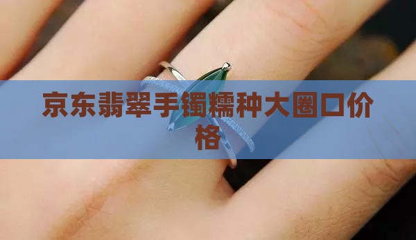 翡翠手镯糯种大圈口
