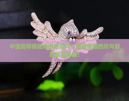 中缅边境翡翠倩姐
