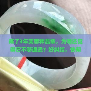 芙蓉种翡翠缺点