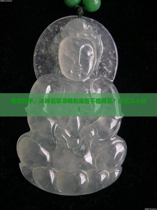 冰种翡翠寻梅