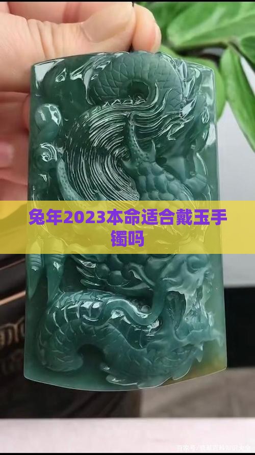 兔年2023本命适合戴玉手镯吗