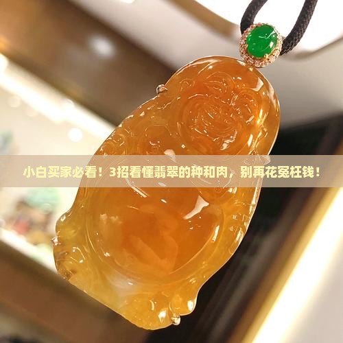 翡翠的种和肉的粗细