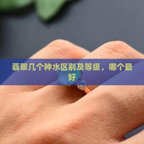 翡翠几个种水