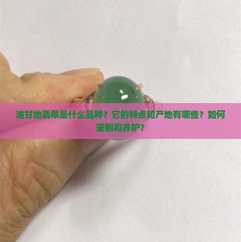 油甘地翡翠