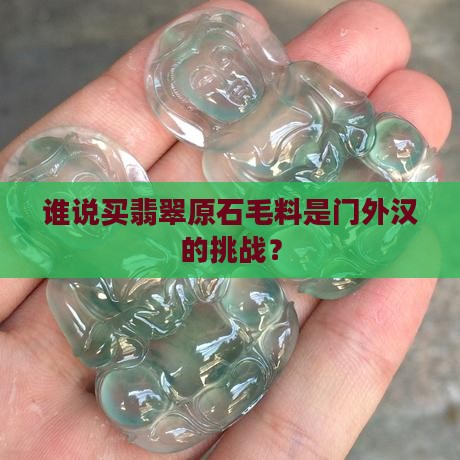 买翡翠原石毛料