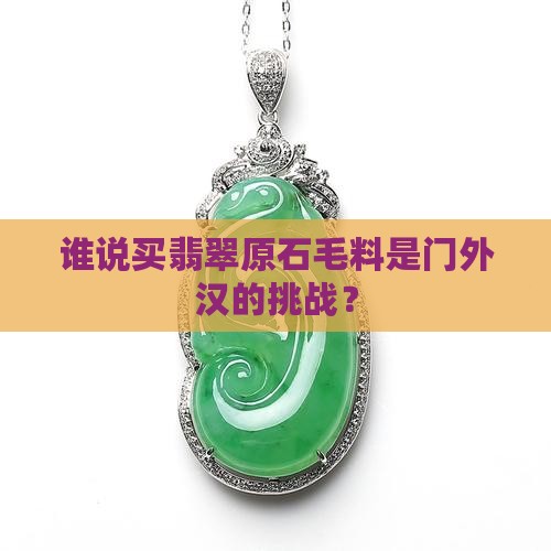 买翡翠原石毛料