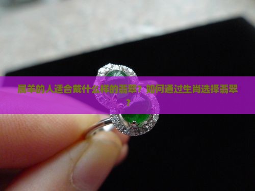 属羊戴什么翡翠