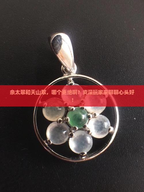 佘太翠和天山翠哪种好