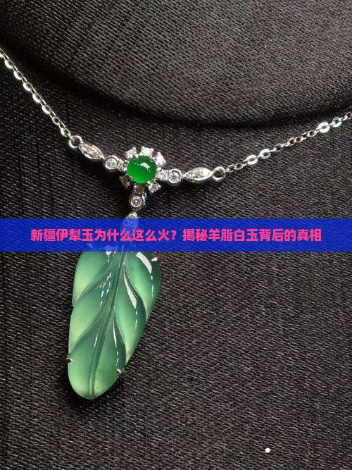 新疆伊犁玉