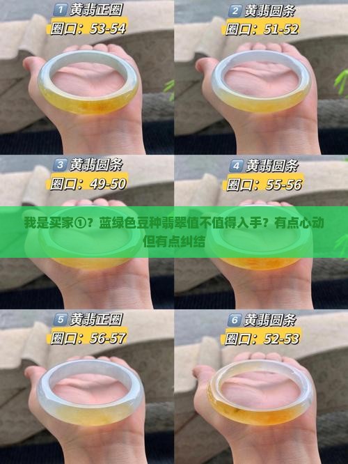 蓝绿色豆种翡翠
