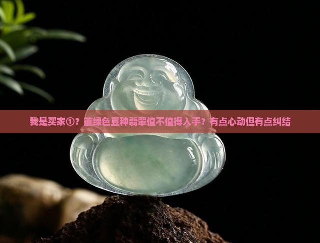 蓝绿色豆种翡翠
