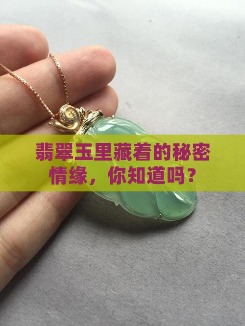 翡翠玉喜情缘