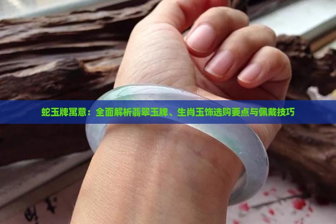 蛇玉牌寓意