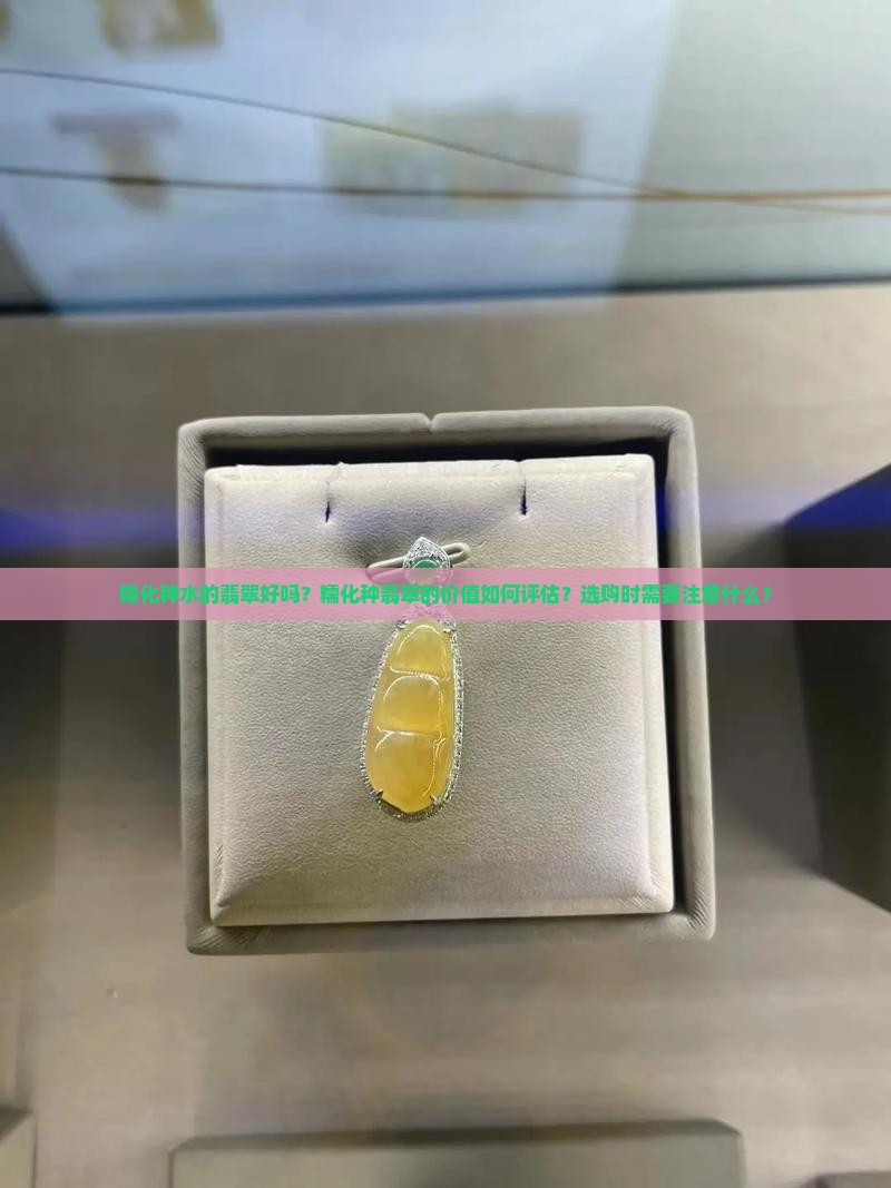 糯化种水的翡翠好吗