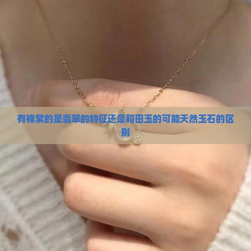 有棉絮的是玉还是翡翠