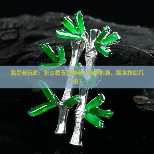 如何看玉是种老