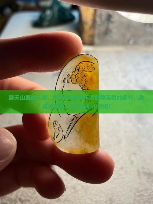 天山翠里羽毛似的