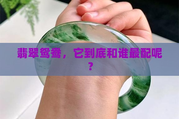 翡翠鸳鸯配什么