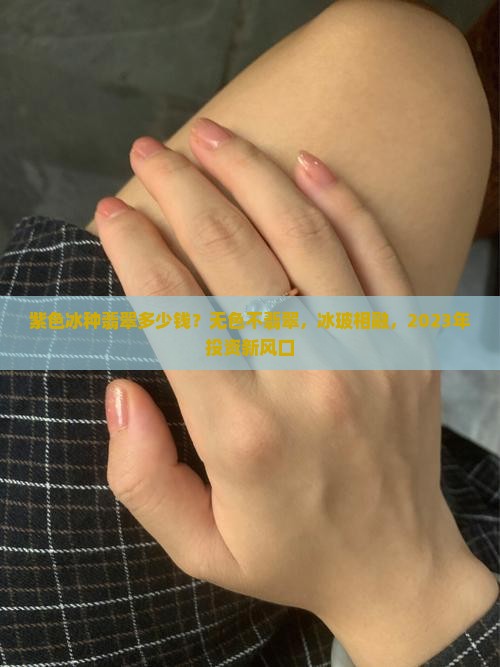 紫色冰种翡翠多少钱