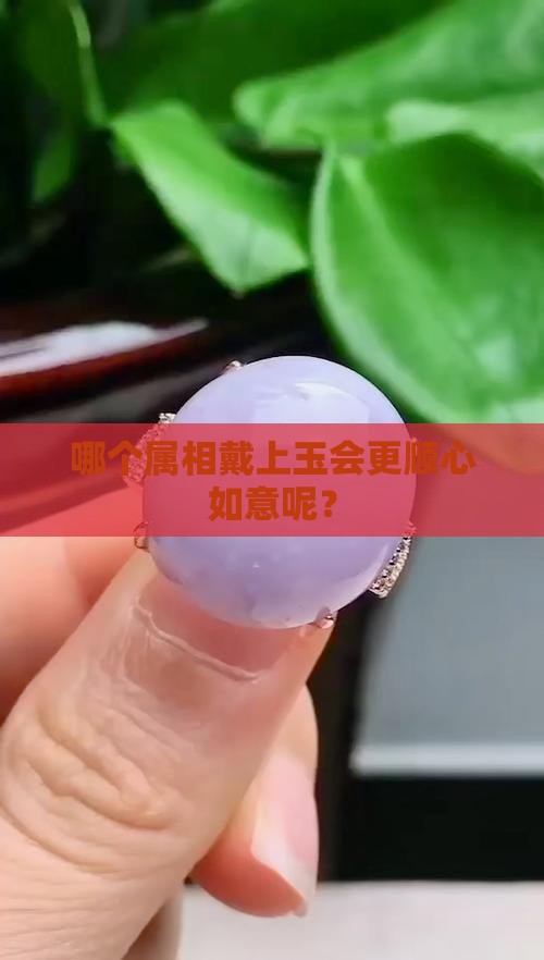 什么属相适合戴玉