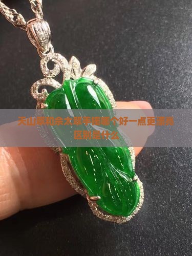 天山翠和佘太翠手镯哪个好