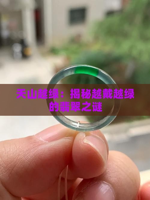 天山翠怎么越来越绿