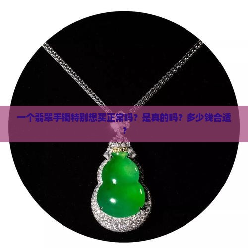一个翡翠手镯特别想买