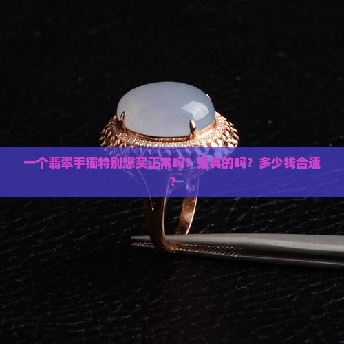 一个翡翠手镯特别想买