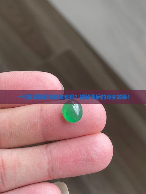 最大翡翠原石亚洲一号